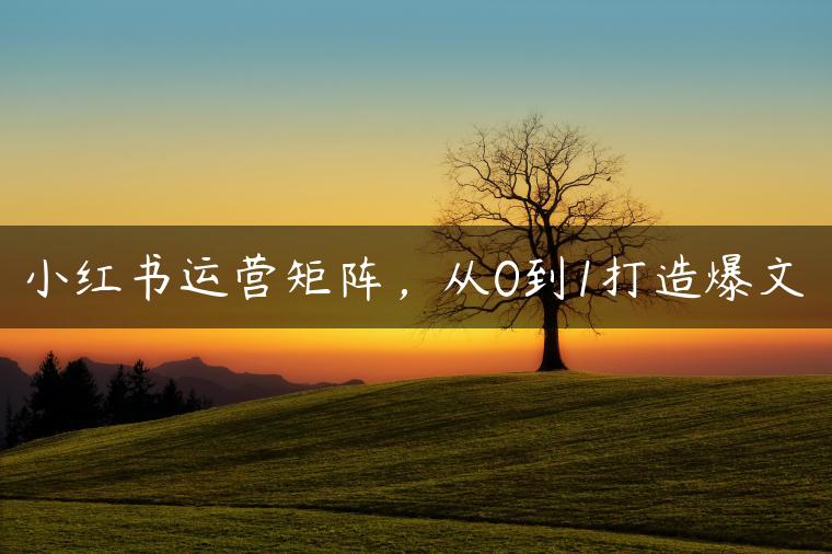 小红书运营矩阵，从0到1打造爆文