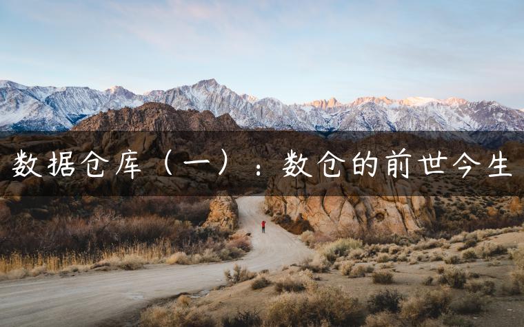 数据仓库（一）：数仓的前世今生