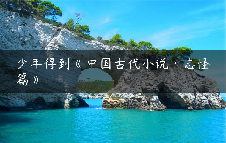 少年得到《中国古代小说·志怪篇》