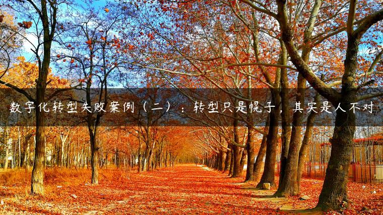 数字化转型失败案例（二）：转型只是幌子，其实是人不对