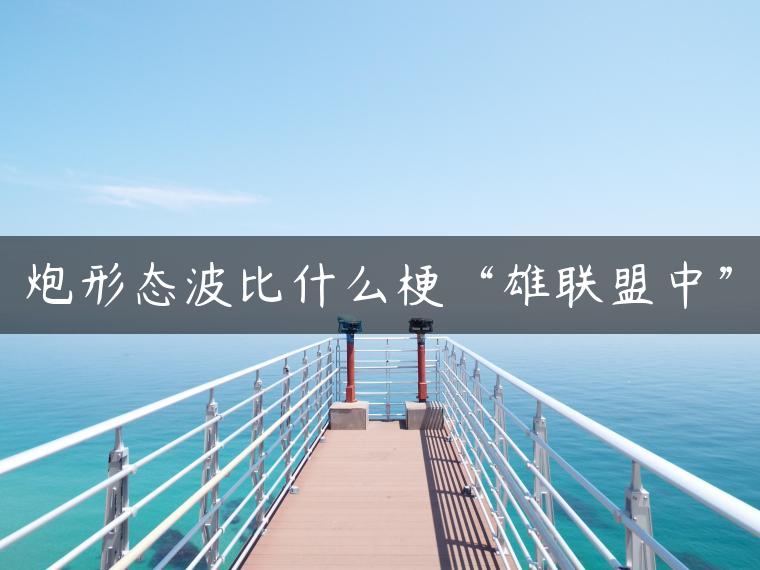 炮形态波比什么梗“雄联盟中”