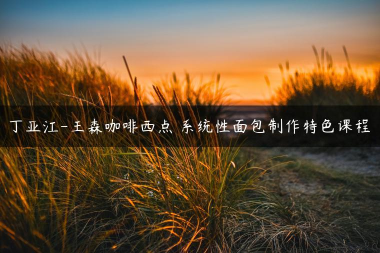 丁亚江-王森咖啡西点 系统性面包制作特色课程