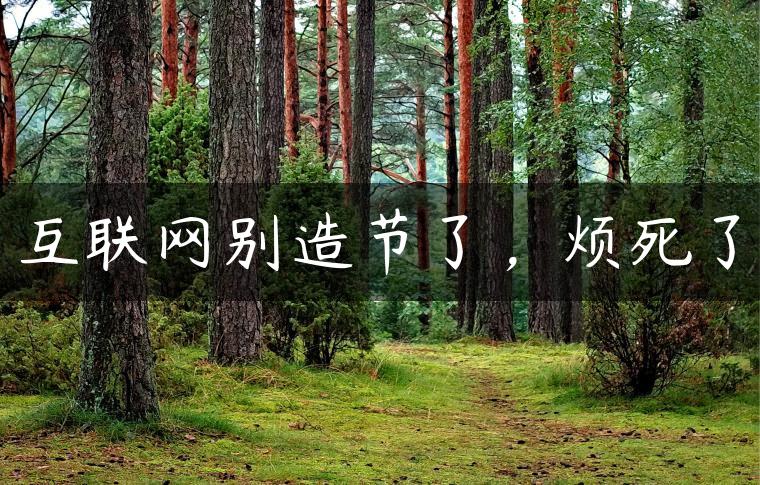 互联网别造节了，烦死了