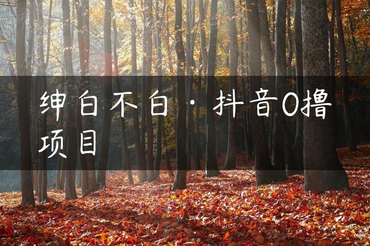 绅白不白·抖音0撸项目