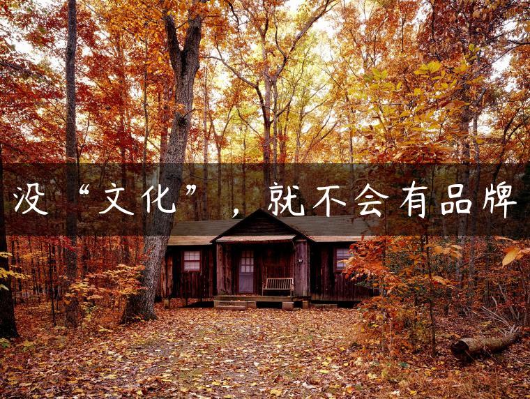 没“文化”，就不会有品牌
