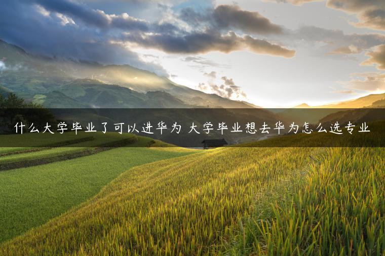 什么大学毕业了可以进华为 大学毕业想去华为怎么选专业