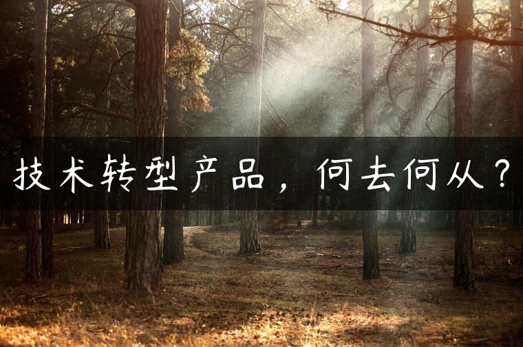 技术转型产品，何去何从？
