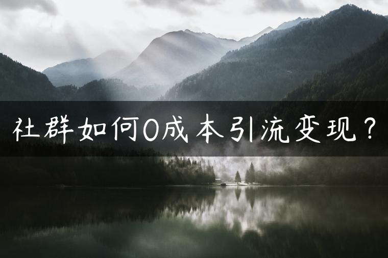 社群如何0成本引流变现？