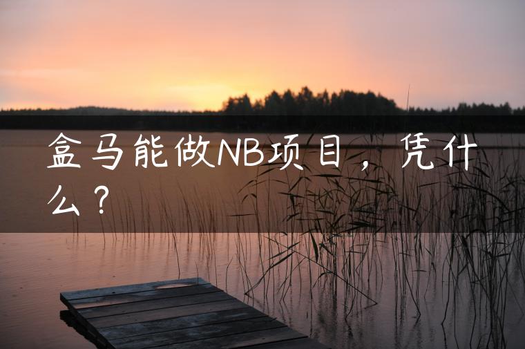 盒马能做NB项目，凭什么？