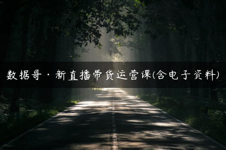 数据哥·新直播带货运营课(含电子资料)