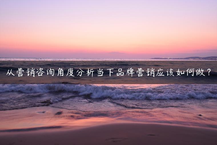 从营销咨询角度分析当下品牌营销应该如何做？