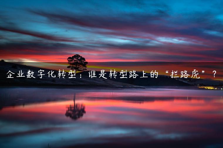 企业数字化转型：谁是转型路上的“拦路虎”？