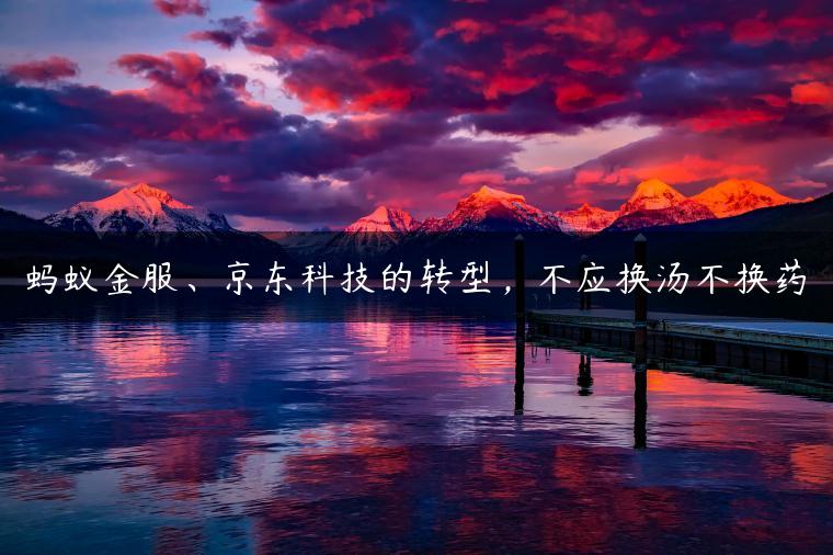 蚂蚁金服、京东科技的转型，不应换汤不换药