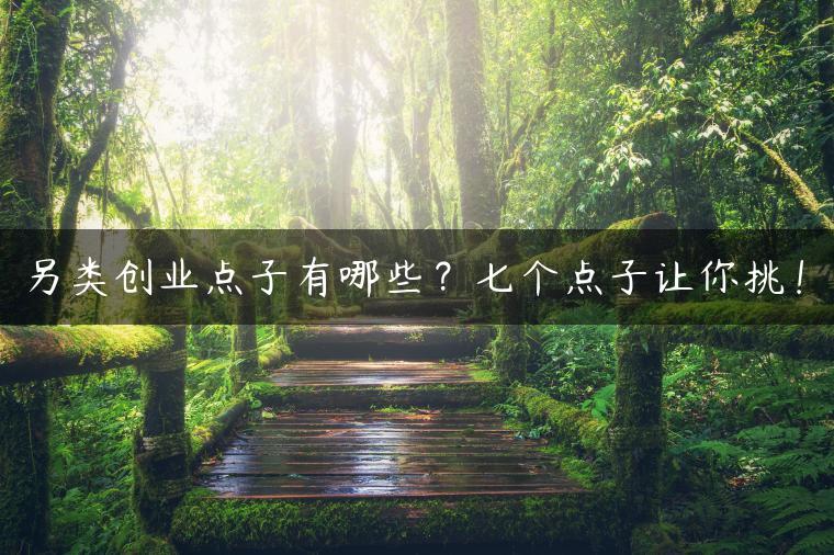 另类创业点子有哪些？七个点子让你挑！