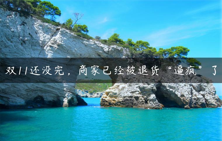 双11还没完，商家已经被退货“逼疯”了