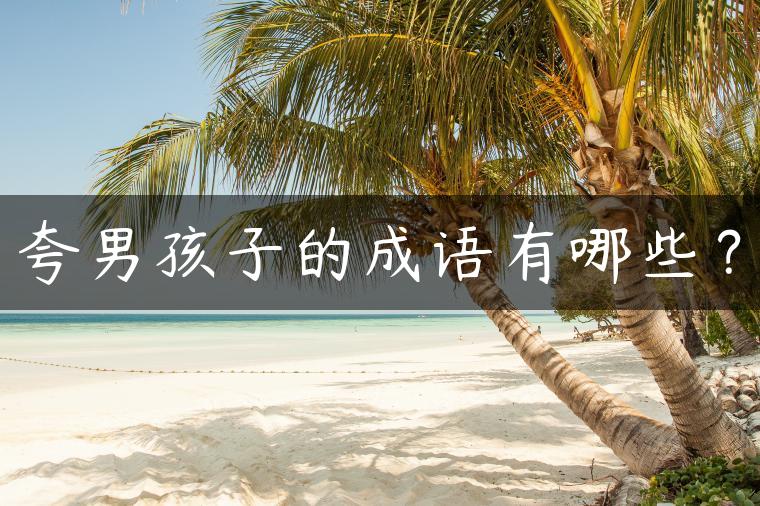 夸男孩子的成语有哪些？