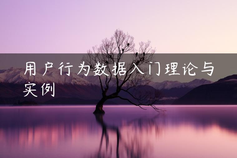 用户行为数据入门理论与实例