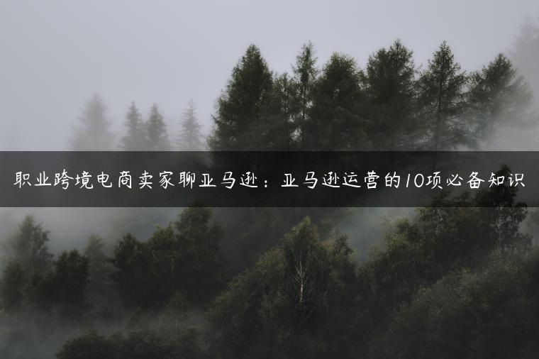 职业跨境电商卖家聊亚马逊：亚马逊运营的10项必备知识