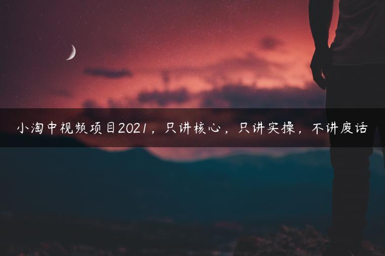 小淘中视频项目2021，只讲核心，只讲实操，不讲废话