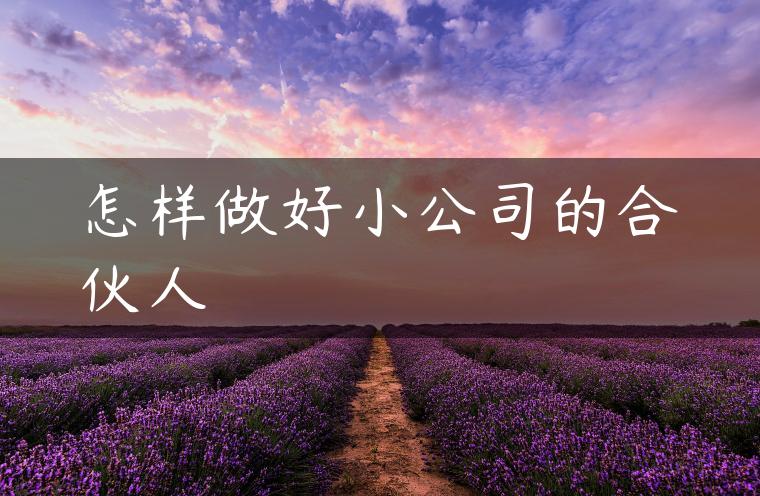 怎样做好小公司的合伙人