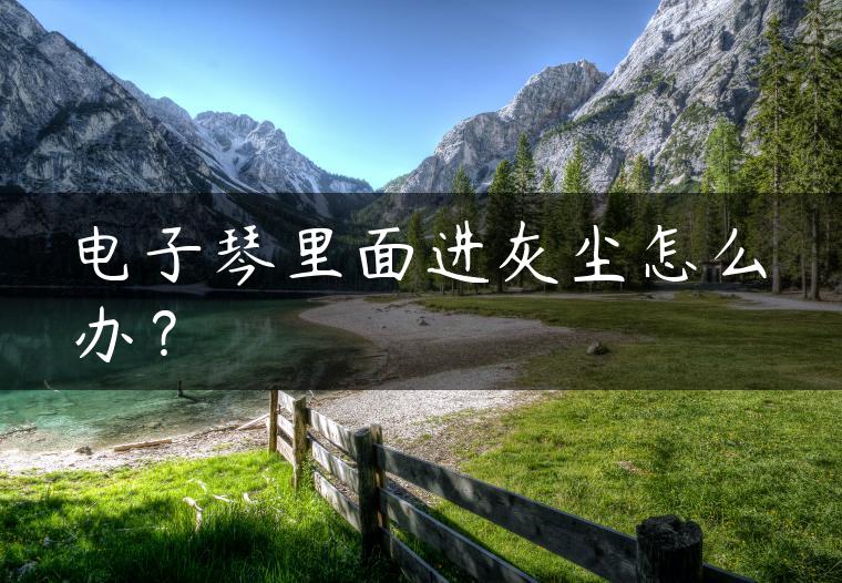 电子琴里面进灰尘怎么办？