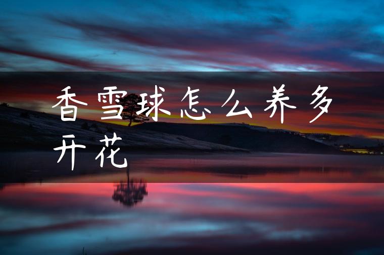 香雪球怎么养多开花