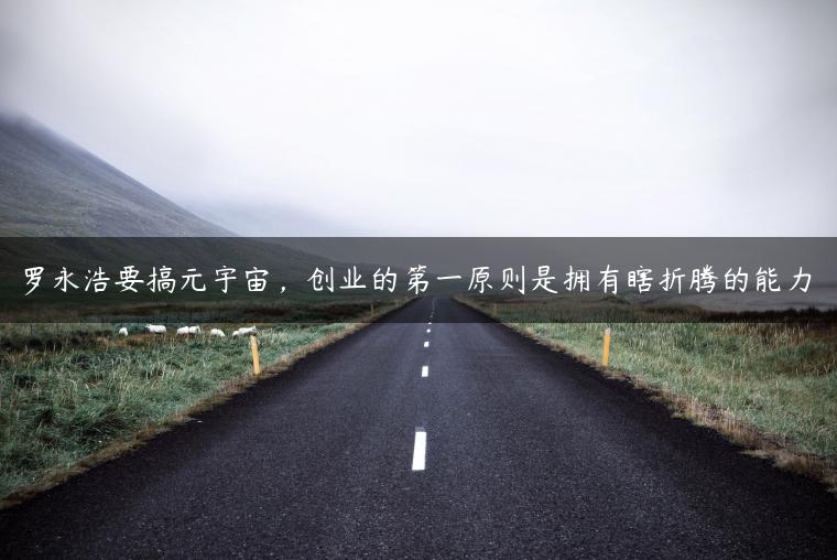 罗永浩要搞元宇宙，创业的第一原则是拥有瞎折腾的能力