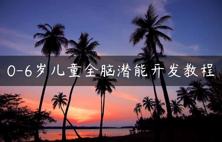 0-6岁儿童全脑潜能开发教程