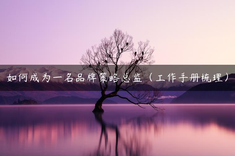 如何成为一名品牌策略总监（工作手册梳理）