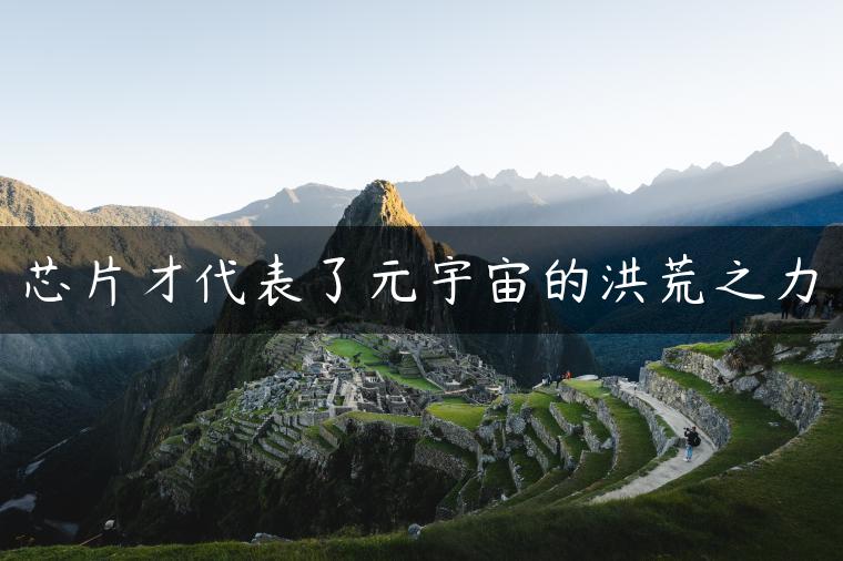 芯片才代表了元宇宙的洪荒之力