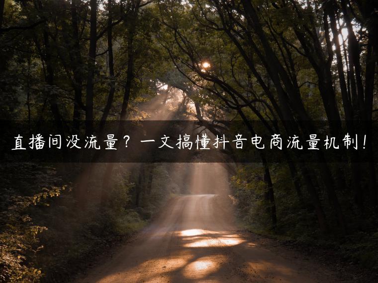 直播间没流量？一文搞懂抖音电商流量机制！