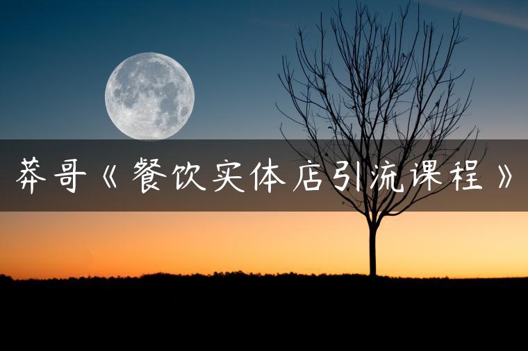 莽哥《餐饮实体店引流课程》
