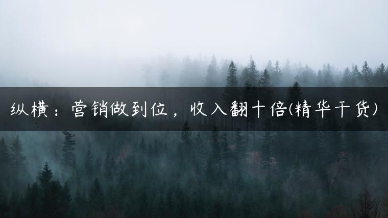 纵横：营销做到位，收入翻十倍(精华干货)