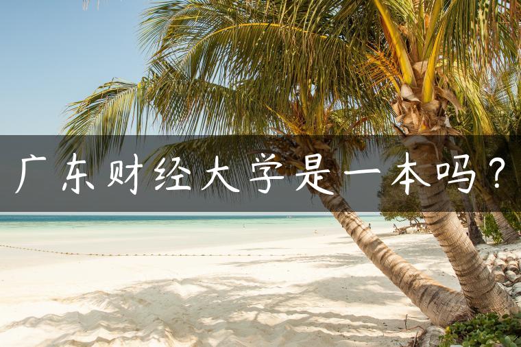 广东财经大学是一本吗？