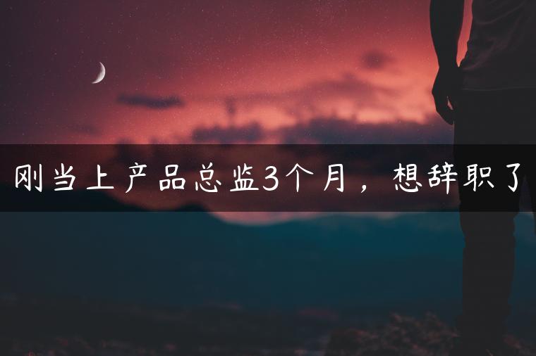 刚当上产品总监3个月,想辞职了 刚当上产品总监3个月,想辞职了