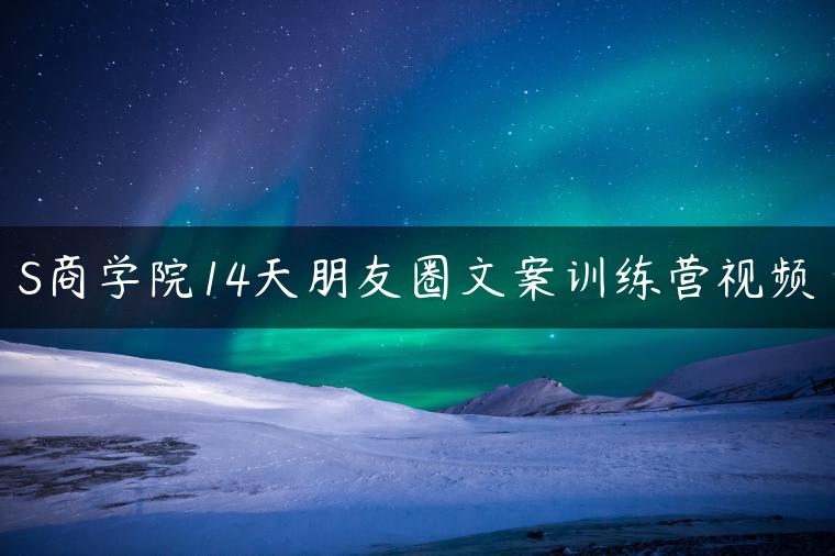 S商学院14天朋友圈文案训练营视频