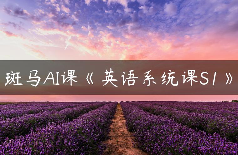 斑马AI课《英语系统课S1》