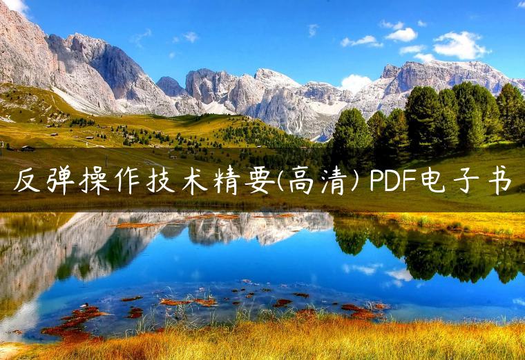 反弹操作技术精要(高清) PDF电子书 反弹操作技术精要(高清) PDF电子书