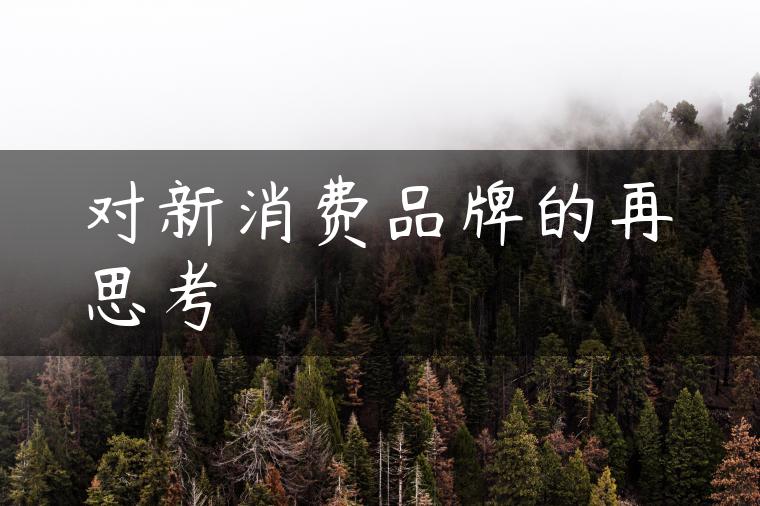 对新消费品牌的再思考