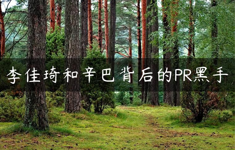 李佳琦和辛巴背后的PR黑手