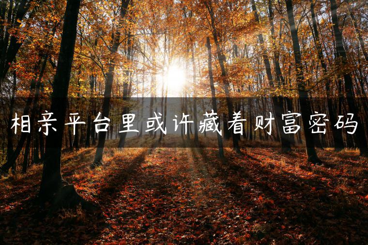 相亲平台里或许藏着财富密码
