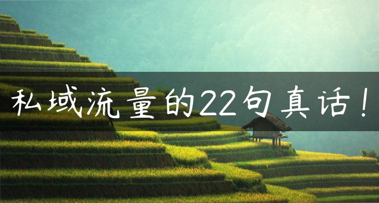 私域流量的22句真话！