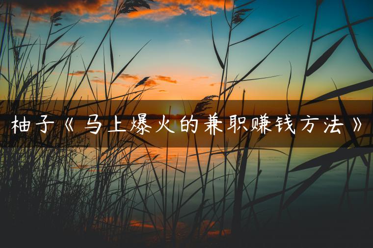 柚子《马上爆火的兼职赚钱方法》