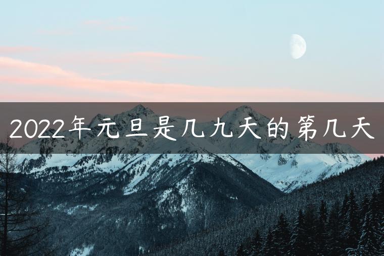 2022年元旦是几九天的第几天