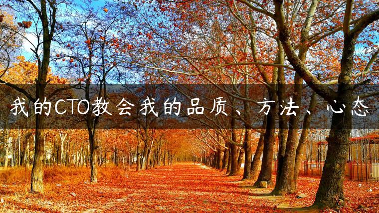 我的CTO教会我的品质、方法、心态