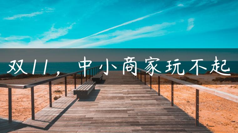 双11，中小商家玩不起