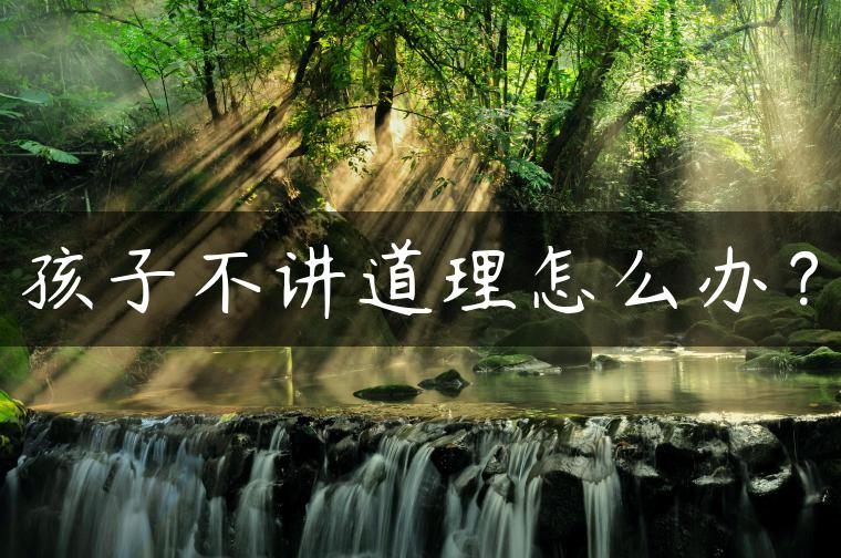 孩子不讲道理怎么办？