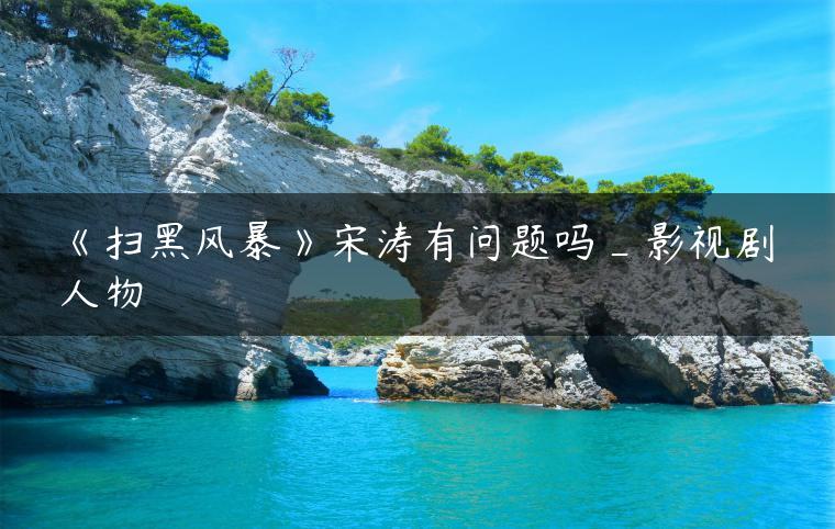 《扫黑风暴》宋涛有问题吗_影视剧人物