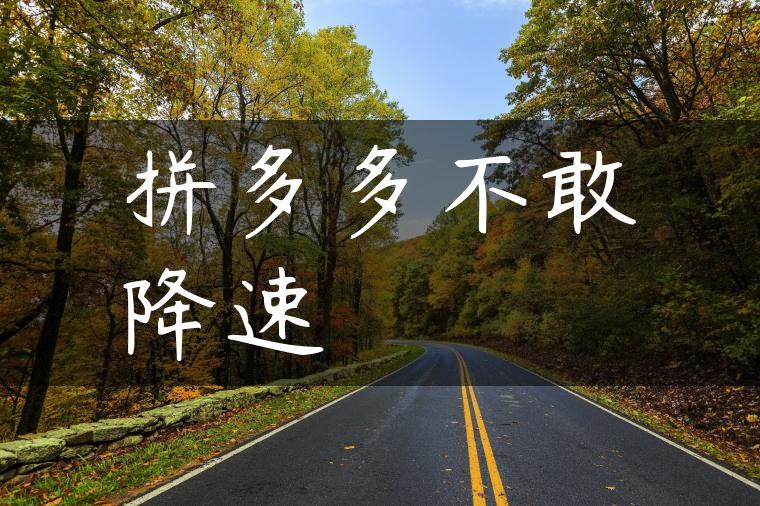 拼多多不敢降速