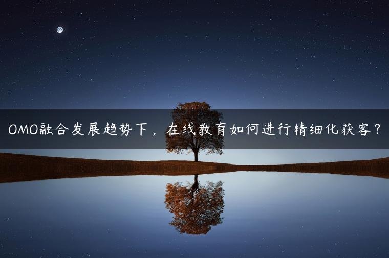 OMO融合发展趋势下，在线教育如何进行精细化获客？